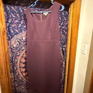 Calvin Klein Plum Midi Dress